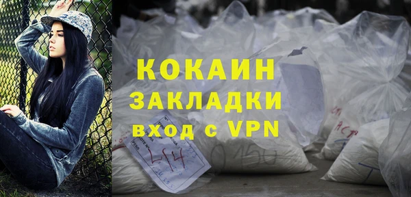 тгк Алексин