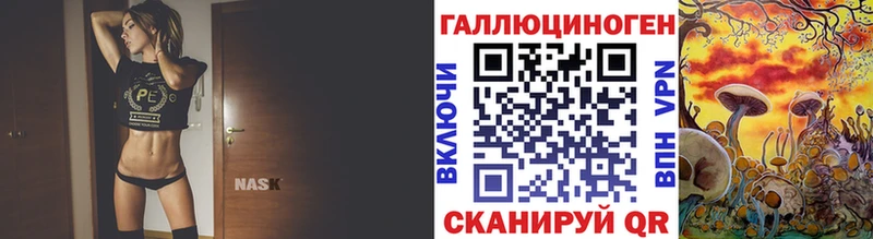 Галлюциногенные грибы Psilocybe  ОМГ ОМГ как зайти  Болгар 
